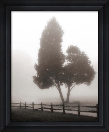 Framed Cedar Tree and Fence Print