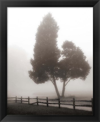 Framed Cedar Tree and Fence Print