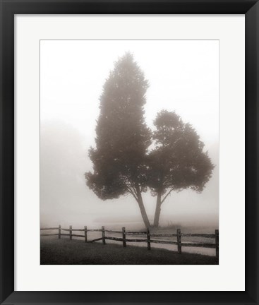 Framed Cedar Tree and Fence Print