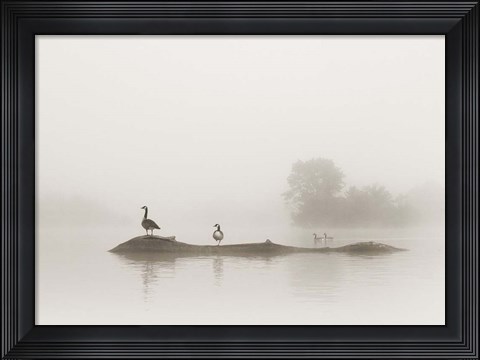 Framed Melton Lake Print