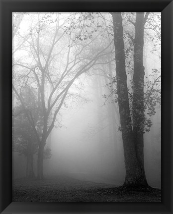 Framed November Fog Print