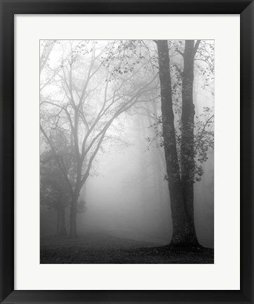 Framed November Fog Print