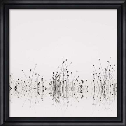 Framed Reflections Print