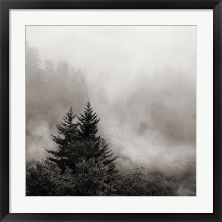 Framed Rising Mist, Smoky Mountains Print