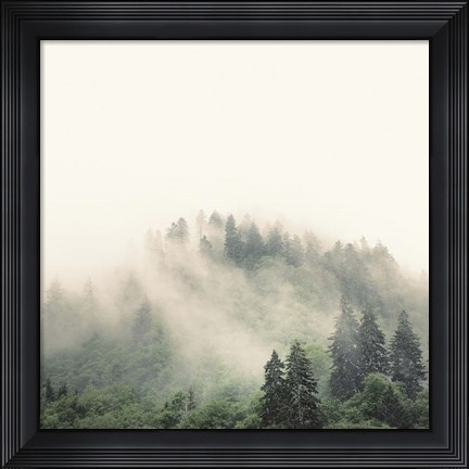 Framed Smoky Mountains Print