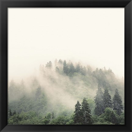 Framed Smoky Mountains Print