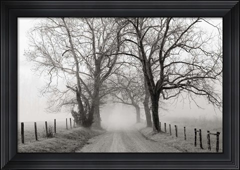 Framed Sparks Lane, Late Autumn Print