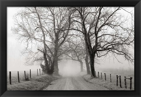 Framed Sparks Lane, Late Autumn Print