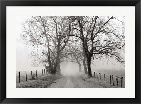 Framed Sparks Lane, Late Autumn Print