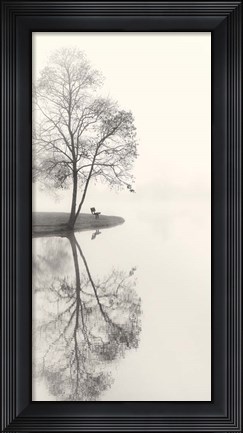 Framed Tranquil Morning Print
