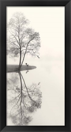 Framed Tranquil Morning Print