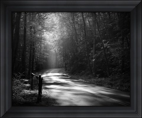 Framed Tremont Road, Smoky Mountains Print
