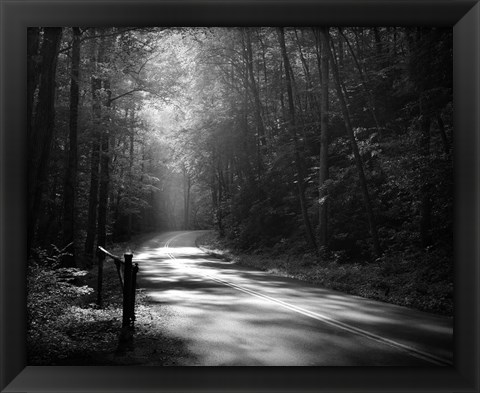 Framed Tremont Road, Smoky Mountains Print