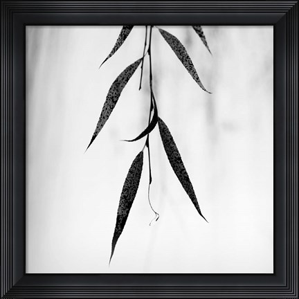 Framed Willow Print No. 2 Print