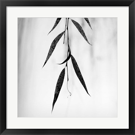 Framed Willow Print No. 2 Print