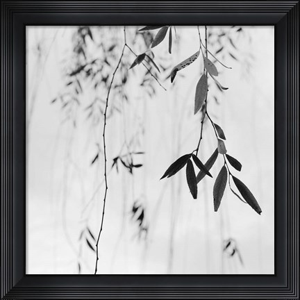 Framed Willow Print No. 3 Print
