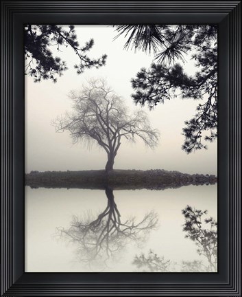 Framed Winter Willow Print