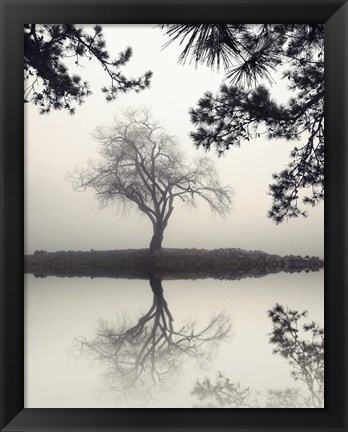 Framed Winter Willow Print