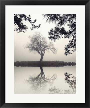 Framed Winter Willow Print