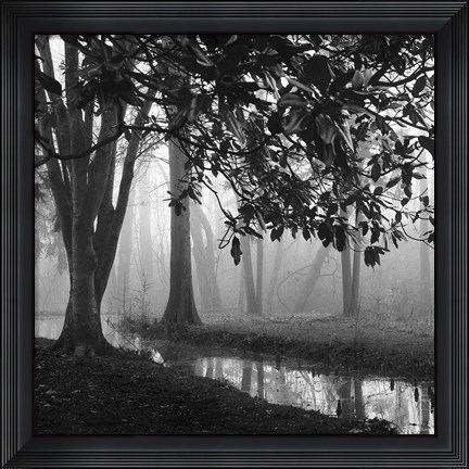 Framed Woodland No. 1 Print