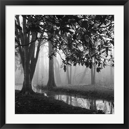 Framed Woodland No. 1 Print