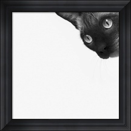 Framed Be Brave Print