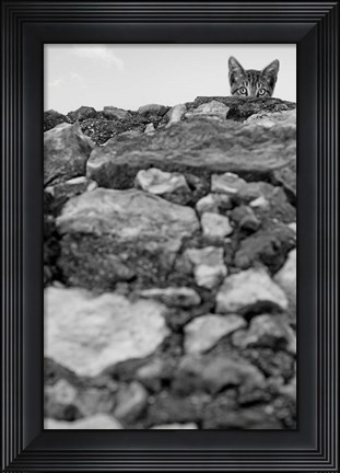 Framed C&#39;est Moi! Print