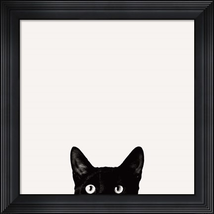 Framed Curiosity Print