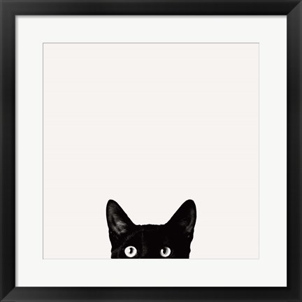 Framed Curiosity Print