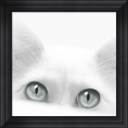 Framed Diva Print