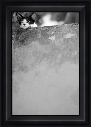 Framed Dreamin&#39; Print