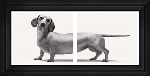 Framed Heads and Tails Print