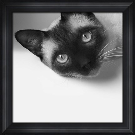 Framed Hey! Print