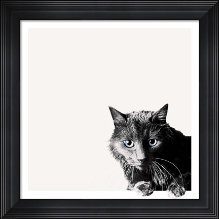 Framed Inquisitive Print