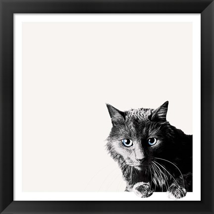 Framed Inquisitive Print