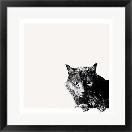 Framed Inquisitive Print