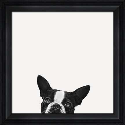 Framed Loyalty Print