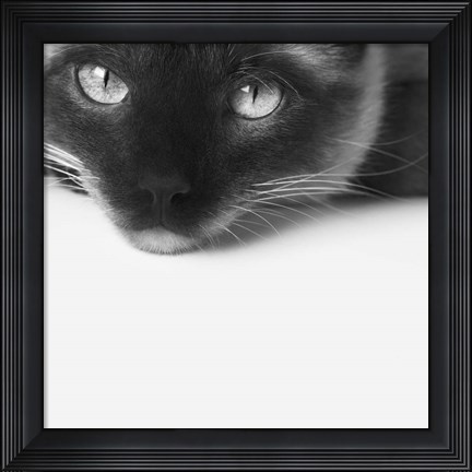 Framed No Stress Print