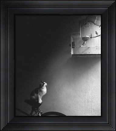 Framed Patience Print