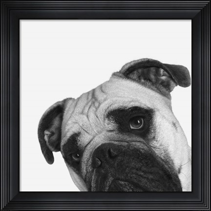 Framed Que Pasa? Print
