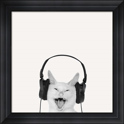 Framed Rockin&#39; Kitten Print
