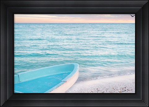 Framed Solo Flight Print