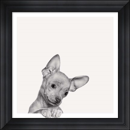 Framed Sweet Chihuahua Print