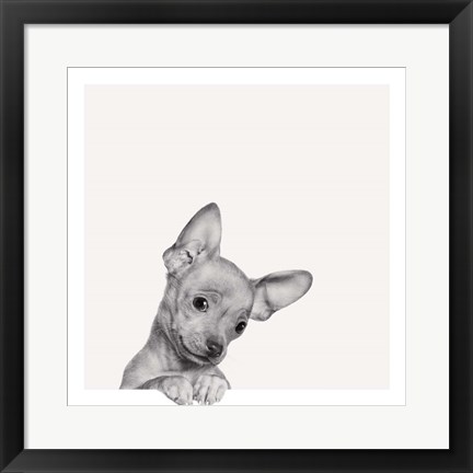 Framed Sweet Chihuahua Print