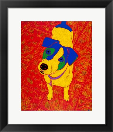 Framed Feisty Jack Russell Print