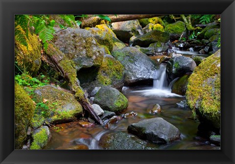 Framed Mossy Stream Print