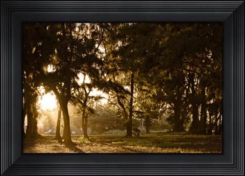 Framed Daybreak Print