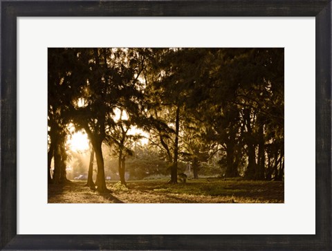 Framed Daybreak Print