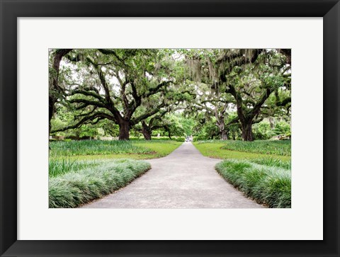 Framed Garden Entrance Print