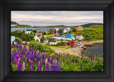 Framed Outport Print